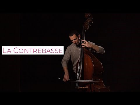 La contrebasse