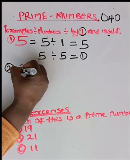 Introduction to Prime Numbers | Simple and Quick #Maths #Numericalliteracy #Shorts #Education