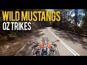 OZ TRIKES - WILD MUSTANGS