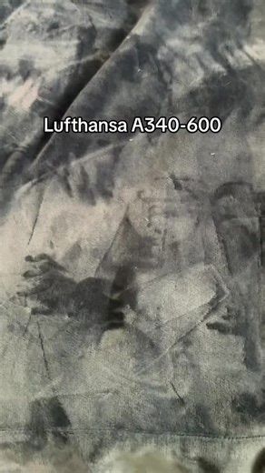 Lufthansa A340-600: A Must-See for AvGeeks