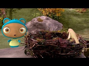 Waybuloo 🧘🌳 Season 1, Episode 3 - Neither Nest 🐦