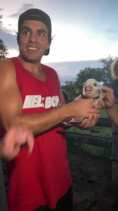 47K views · 325 reactions | Should we adopt this baby pig?  | NELK | Facebook