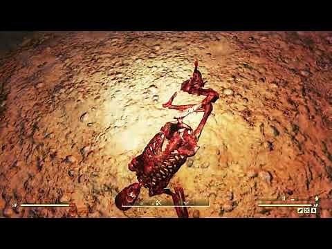 Abandoned Mine Shaft 2 {Ash Heap} | Fallout 76 Exploration