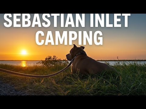 Sebastian Inlet State Park Camping! Dolphins, Sunset Vibes & SpaceX Starlink Rocket Launch