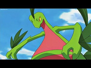 Ash's Treecko evolves into Grovyle & Guy's Loudred evolves into Exploud