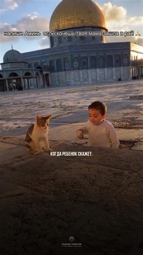 Exploring Paradise in Islam Through the Quran