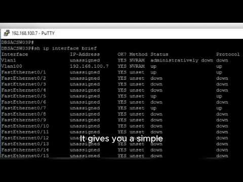 show ip interface brief