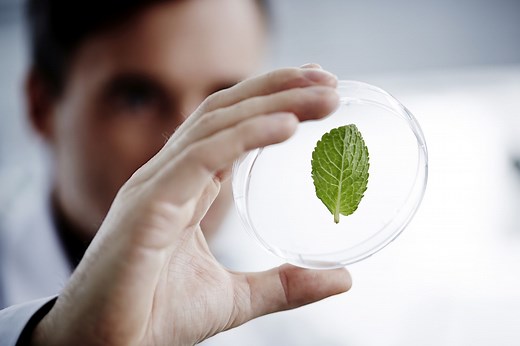 Can Using Natural Treatments for MS Improve Symptoms?