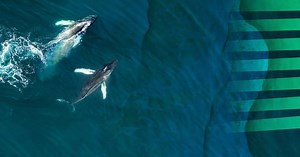 The European Ocean Pact