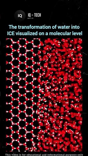 Water to Ice: Molecular Magic 🧊🔬