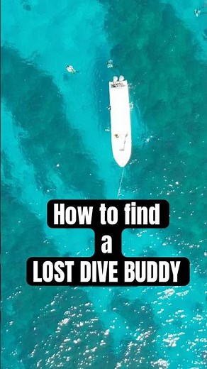 Those pre-dive briefings matter 🛟🤿👌 #scubadiving #lostatsea