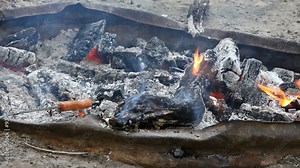 roasting a hotdog over fire campfire P HD 1965