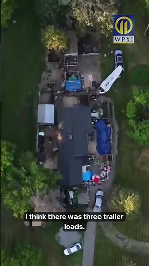 Dozens of pigs pulled from a home in Westmoreland County