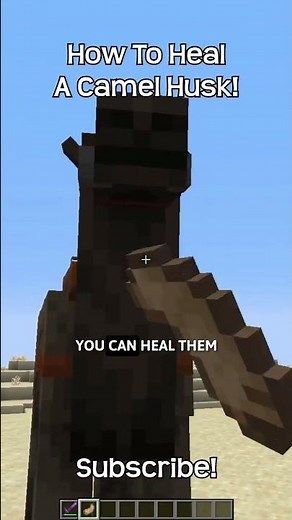 How To Heal And Tempt A Camel Husk In Minecraft?!