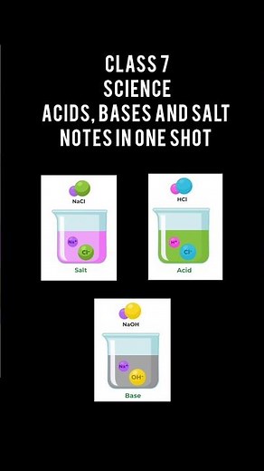 Acids, Bases, and Salts | Full Chapter Explained with Examples