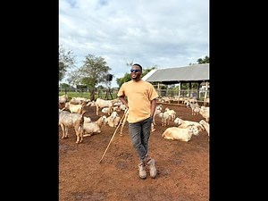 Goat Farming 102: Building the Perfect Goat House 🌿🏡