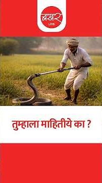 Farmers Safety Stick | जादूची छडी! आयुष्यात पुन्हा साप जवळ फिरकणार नाही! | Shetkari Mitra Stick