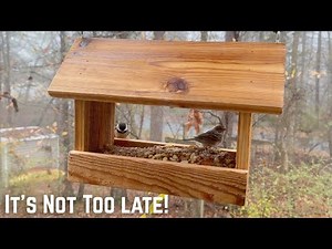 Build this Simple Bird Feeder for Winter! A Fun 30 Minute Woodworking Project!