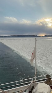 昨日2月9日の「網走流氷観光砕氷船おーろら」からの景色です🚢 昨日は薄い氷の中を進むクルーズでした。 現在、流氷はオホーツク海網走沖にとどまっており、風向きにより、岸に近づき、沖に流れを続けています。 日により様々な表情を見せてくれる流氷🧊 中の人は、毎年見ていますが、美しい光景にうっとりです😍 最新の海氷（流氷）の速報はこちら↓ https://www1.kaiho.mlit.go.jp/KAN1/1center.html ※第一管区海上保安本部サイトにリンクします。 #網走 #流氷観光 #流氷観光砕氷船おーろら #hokkaido #driftice | おいしいまち網走（網走市観光課）oishii−machi abashiri