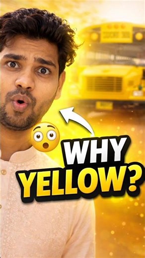 Why Are School Buses Always Yellow? 🤔🚌