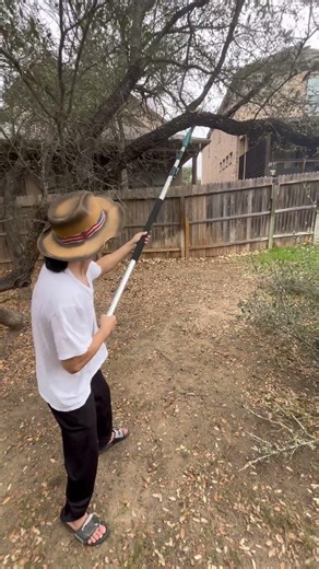 Easy DIY tree trimming