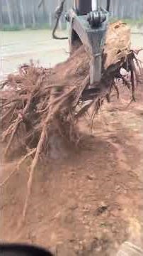 How to lift a tree trunk with a machine #viral #reels #video #trending #youtubeshorts