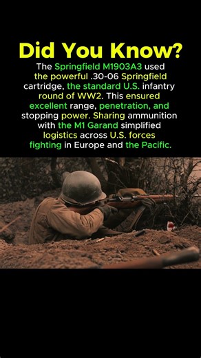 M1903A3 and the Powerful .30-06 Cartridge Explained #ww2history #M1903A3 #m1garand