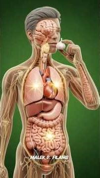 “Eat Garlic Every Day? Watch What Happens Inside You!” #facts #shorts