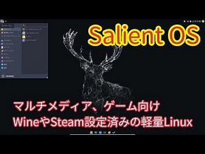 マルチメディア、ゲームに強いSalientOSの紹介～デザインセンスも光る～