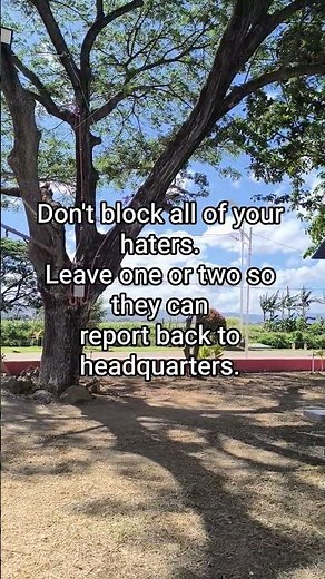 Don't block all of your haters.Leave one or two so they can.. #motivation #quotes #mindset