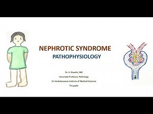 NEPHROTIC SYNDROME PATHOPHYSIOLOGY