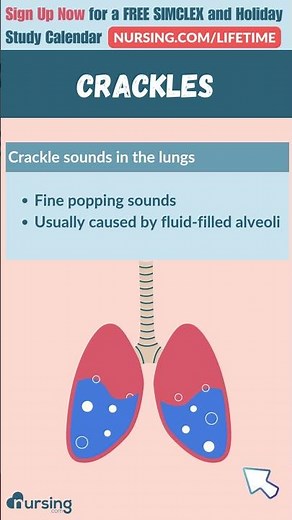 🫁 Lung Sounds 🩺 - Crackles vs. Wheezes