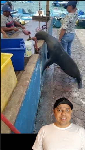 Cliente VIP: não paga, mas sempre volta... | Resenha Dulu