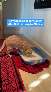 Not your average cat litter. Our litter locks in odors and helps you keep tabs on your cat’s health by changing colors. It’s the smarter litter choice. | PrettyLitter