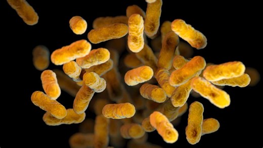 Whooping cough cases in the US are the highest they’ve been in a decade