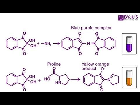 Peptide Hand Synthesis Part 4: Ninhydrin Test