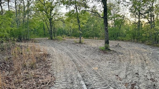 Mini Farm Or Homesite Opportunity With Pasture, Creek And Timber | Whitetail Properties