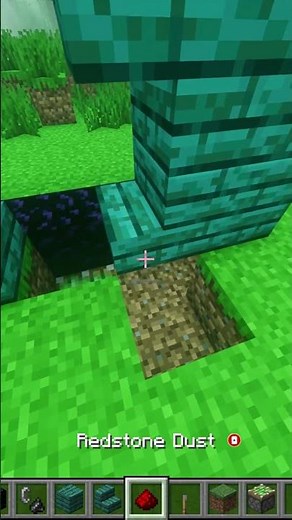 How To Make a Secret Door in Minecraft!