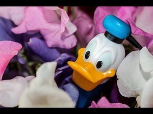 Donald Duck in Mathemagic Land 1959 | Full HD