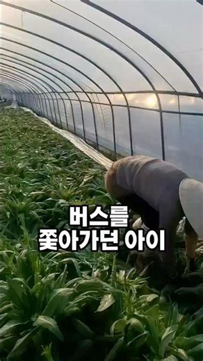 The boy chasing the bus