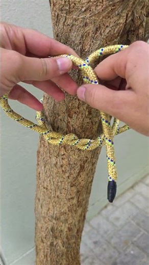 Surgeon’s Knot That Won’t Slip ❌ | 20 Seconds