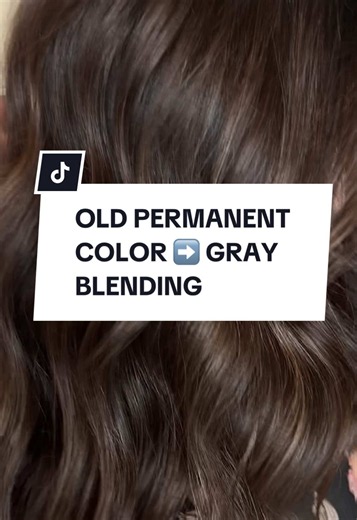 Gray Coverage & Blending Options: Permanent, Demi, Highlights, Lowlights