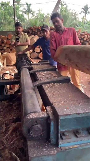 Big Log Veneer Peeling Techniques for Woodworking