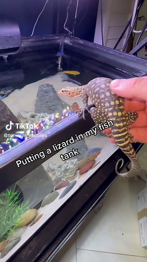 TikTok - Make Your Day