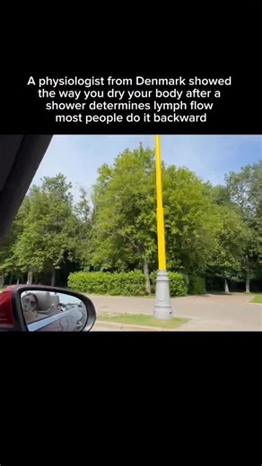 Mikhail on Instagram: "1️⃣ Most people step out of the shower and dry off on autopilot. Fast. Hard. Random. Arms, legs, torso — whatever gets dry first. It feels harmless. Normal. But a Danish physiologist noticed something surprising: this exact habit quietly works against how the body is designed to move fluid. 2️⃣ Right after a shower, the lymphatic system is highly responsive. Heat opens vessels. Skin receptors are active. This is the moment when lymph — the system that clears waste, reduces