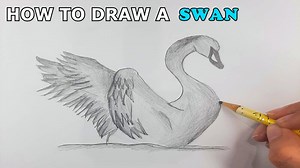 Simple Swan Drawing  Minecraft Blog