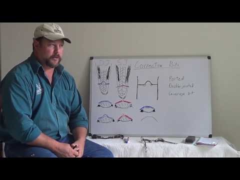 Correction Bits and Single vs Double Jointed Mouthpieces