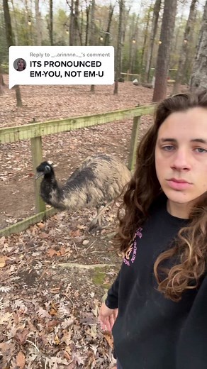 Understanding Emu Pronunciation