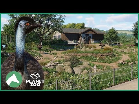 Emu Habitat | Elm Hill City Zoo | Planet Zoo