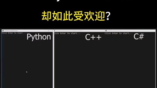 为什么Python运行速度慢，却如此受欢迎？